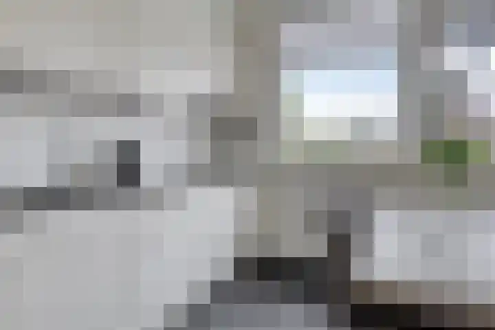 Kastanjelaan 55 Marum thumbnail 12