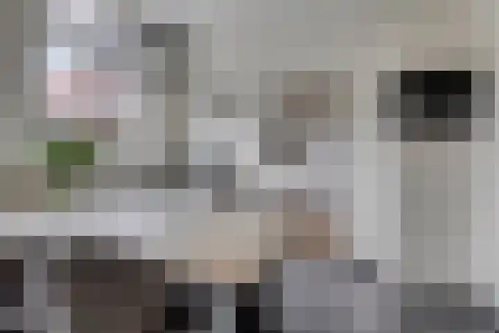 Kastanjelaan 55 Marum thumbnail 13