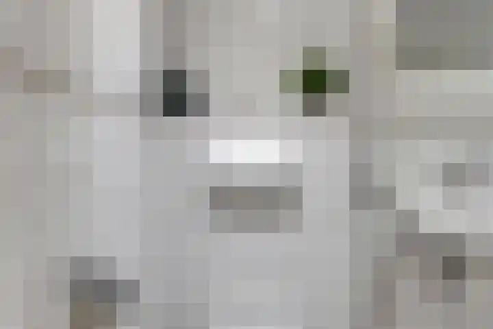 Kastanjelaan 55 Marum thumbnail 22