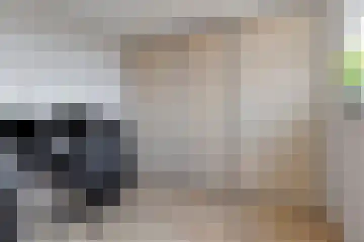 Kastanjelaan 55 Marum thumbnail 23