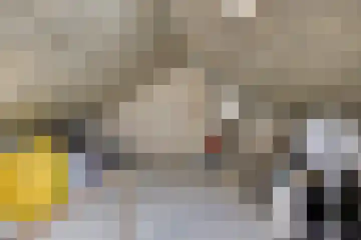 Kastanjelaan 55 Marum thumbnail 29