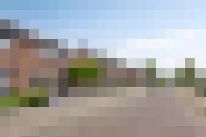Kastanjelaan 55 Marum thumbnail 34