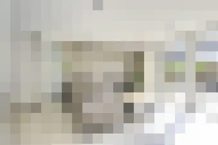 Kastanjelaan 55 Vianen thumbnail 12