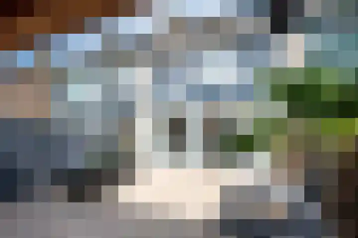 Kastanjelaan 55 Vianen thumbnail 19