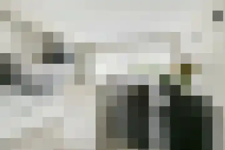 Kastanjelaan 55 Vianen thumbnail 28