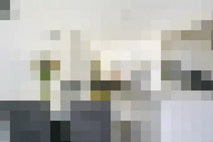Kastanjelaan 55 Vianen thumbnail 33