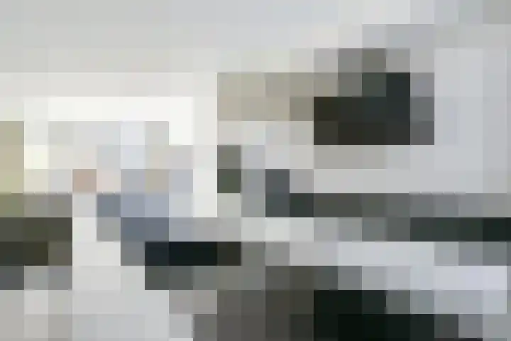 Kastanjelaan 55 Vianen thumbnail 34