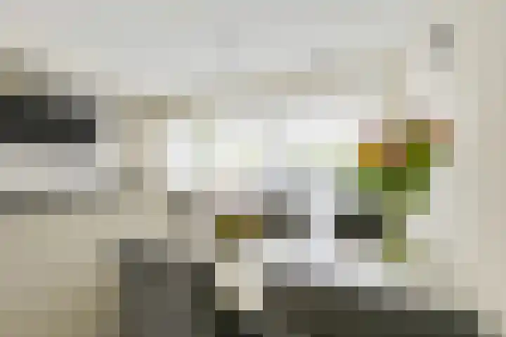 Kastanjelaan 55 Vianen thumbnail 36