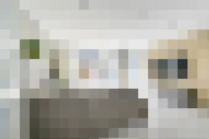 Kastanjelaan 55 Vianen thumbnail 37