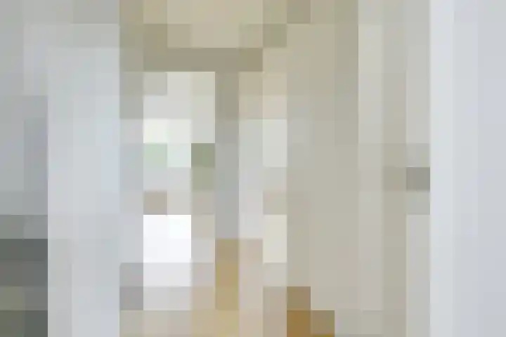 Kastanjelaan 55 Vianen thumbnail 39