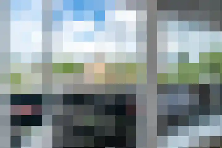 Kastanjelaan 55 Vianen thumbnail 43