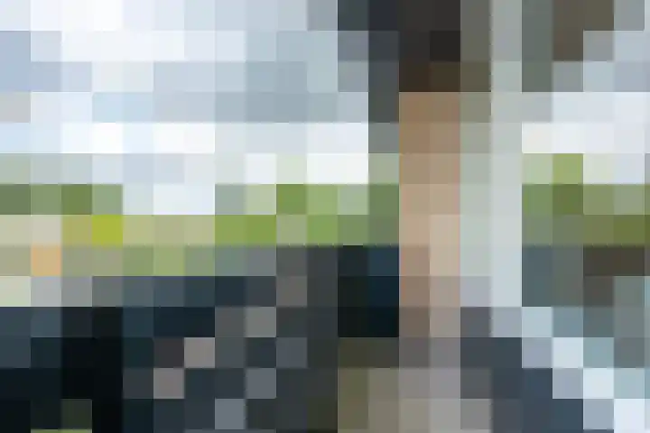 Kastanjelaan 55 Vianen thumbnail 44
