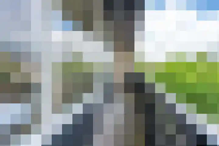 Kastanjelaan 55 Vianen thumbnail 45