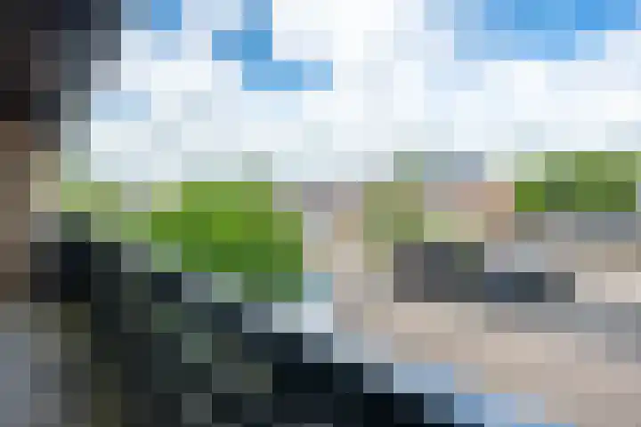 Kastanjelaan 55 Vianen thumbnail 46