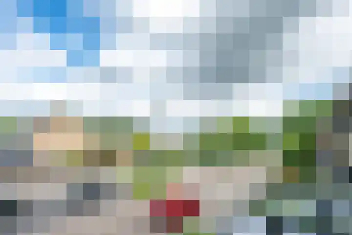 Kastanjelaan 55 Vianen thumbnail 47