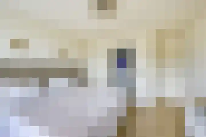 Kastanjelaan 55 Vianen thumbnail 48