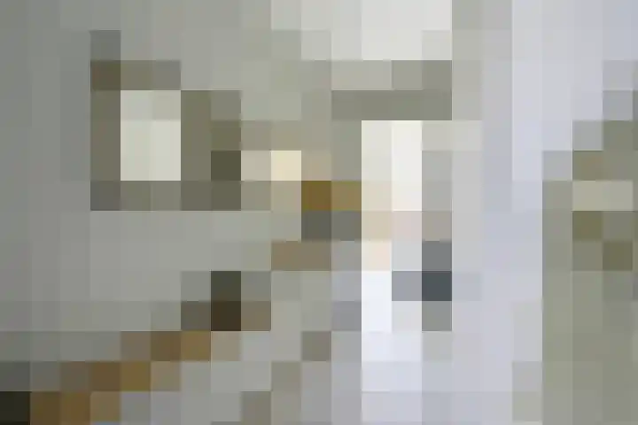 Kastanjelaan 55 Vianen thumbnail 5