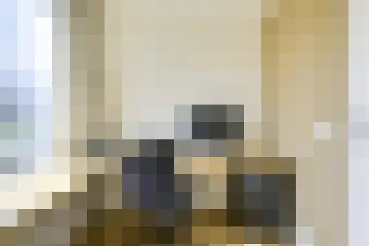 Kastanjelaan 55 Vianen thumbnail 54