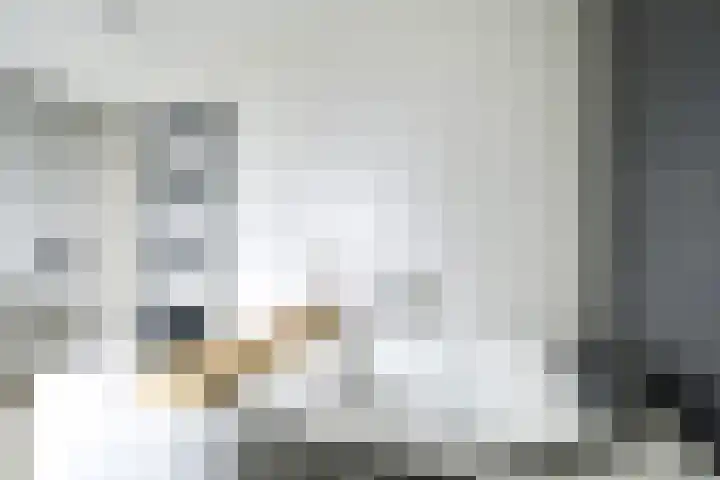 Kastanjelaan 55 Vianen thumbnail 63
