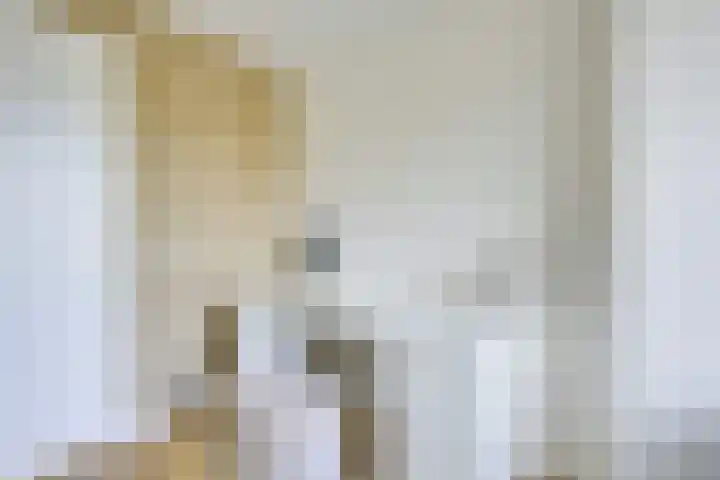 Kastanjelaan 55 Vianen thumbnail 67