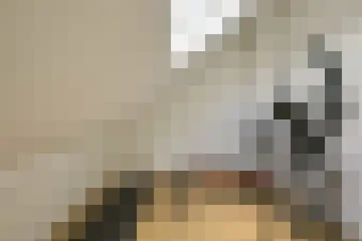 Kastanjelaan 55 Vianen thumbnail 78