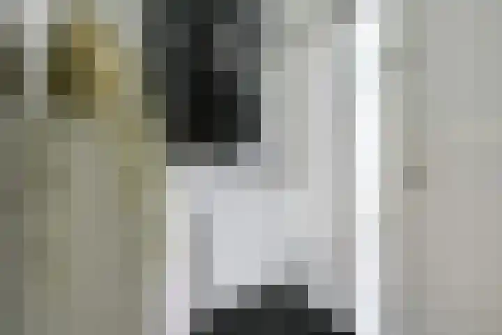 Kastanjelaan 55 Vianen thumbnail 8