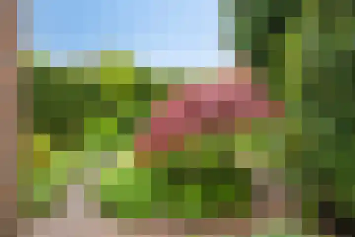 Kastanjelaan 56 Hilversum thumbnail 15