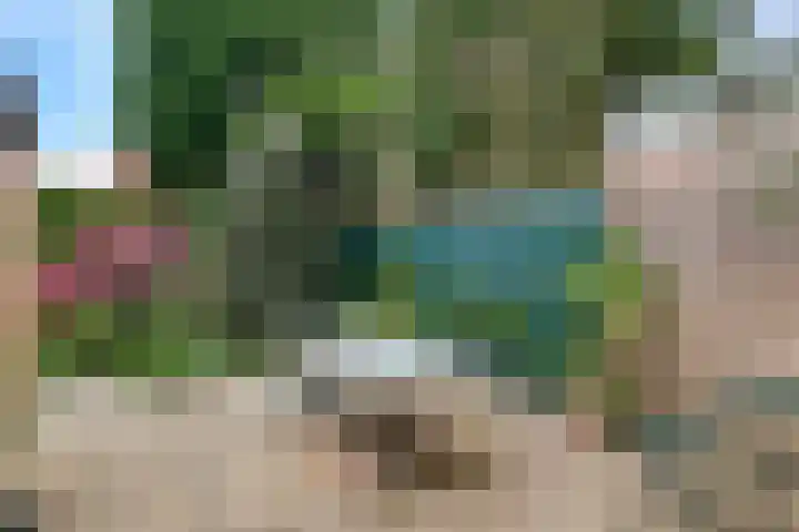 Kastanjelaan 56 Hilversum thumbnail 16