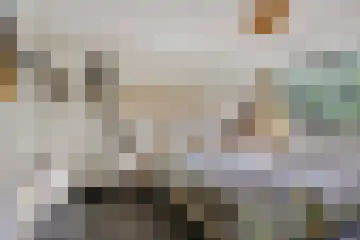 Kastanjelaan 56 Hilversum thumbnail 18