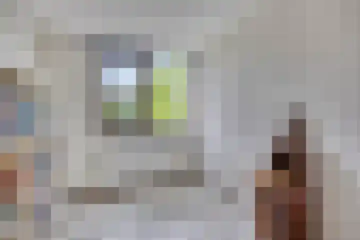 Kastanjelaan 56 Hilversum thumbnail 29