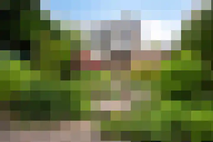 Kastanjelaan 56 Hilversum thumbnail 37