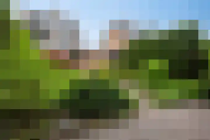 Kastanjelaan 56 Hilversum thumbnail 38