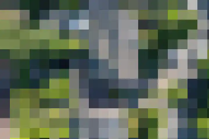 Kastanjelaan 56 Hilversum thumbnail 41