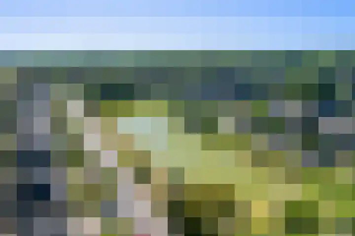 Kastanjelaan 56 Hilversum thumbnail 42