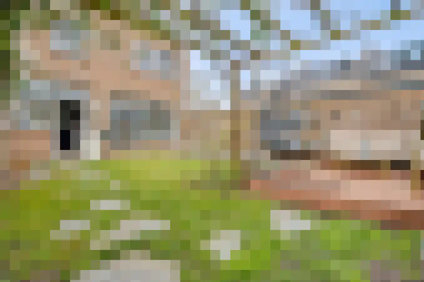 Kastanjelaan 56 Zuid-Scharwoude thumbnail 30