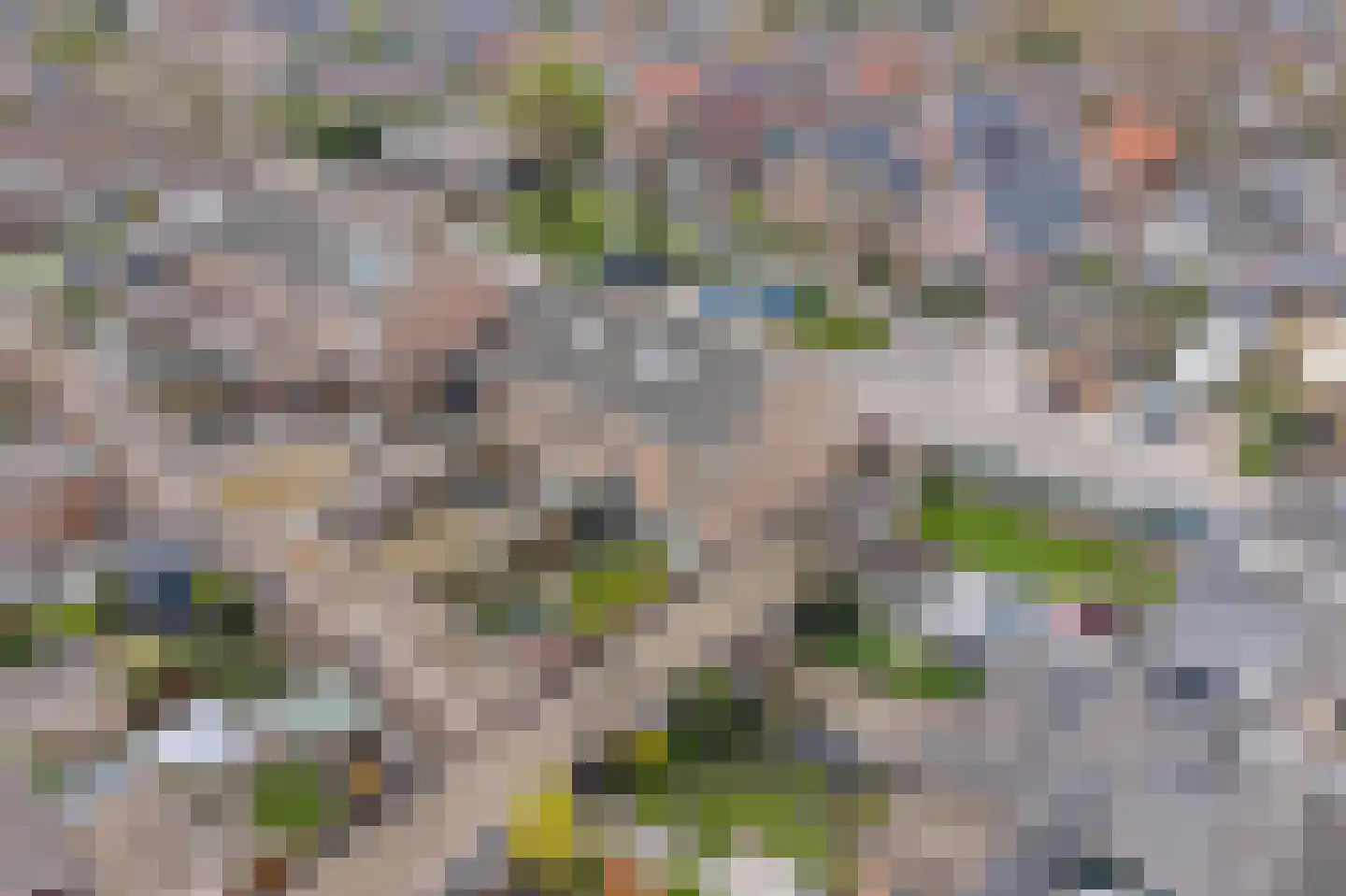 Kastanjelaan 56 Zuid-Scharwoude thumbnail 37
