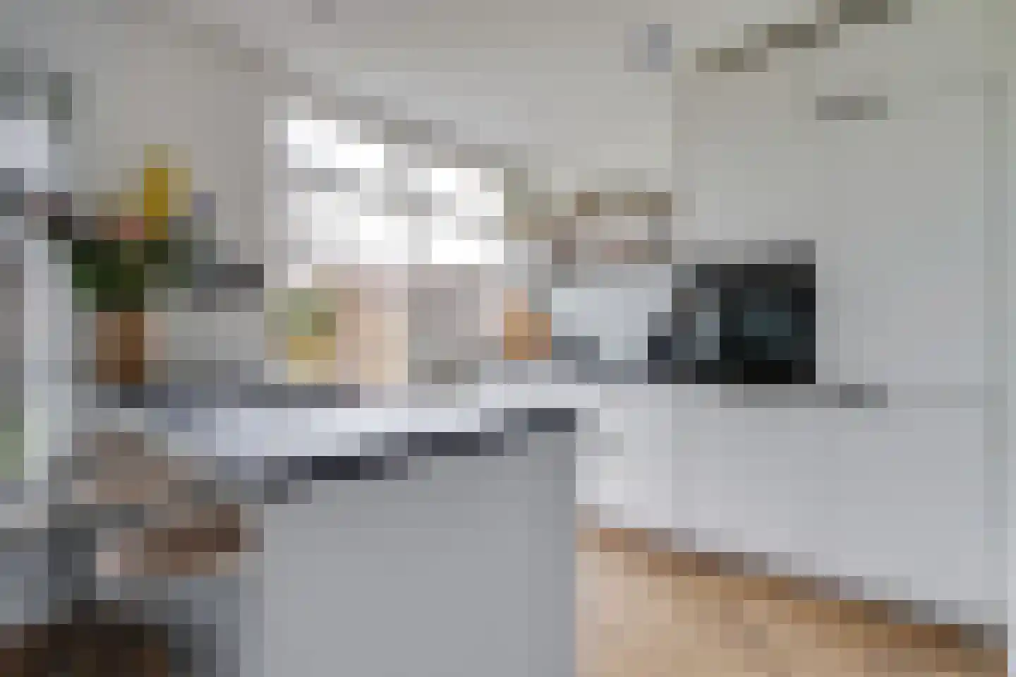 Kastanjelaan 56 Zuid-Scharwoude thumbnail 5