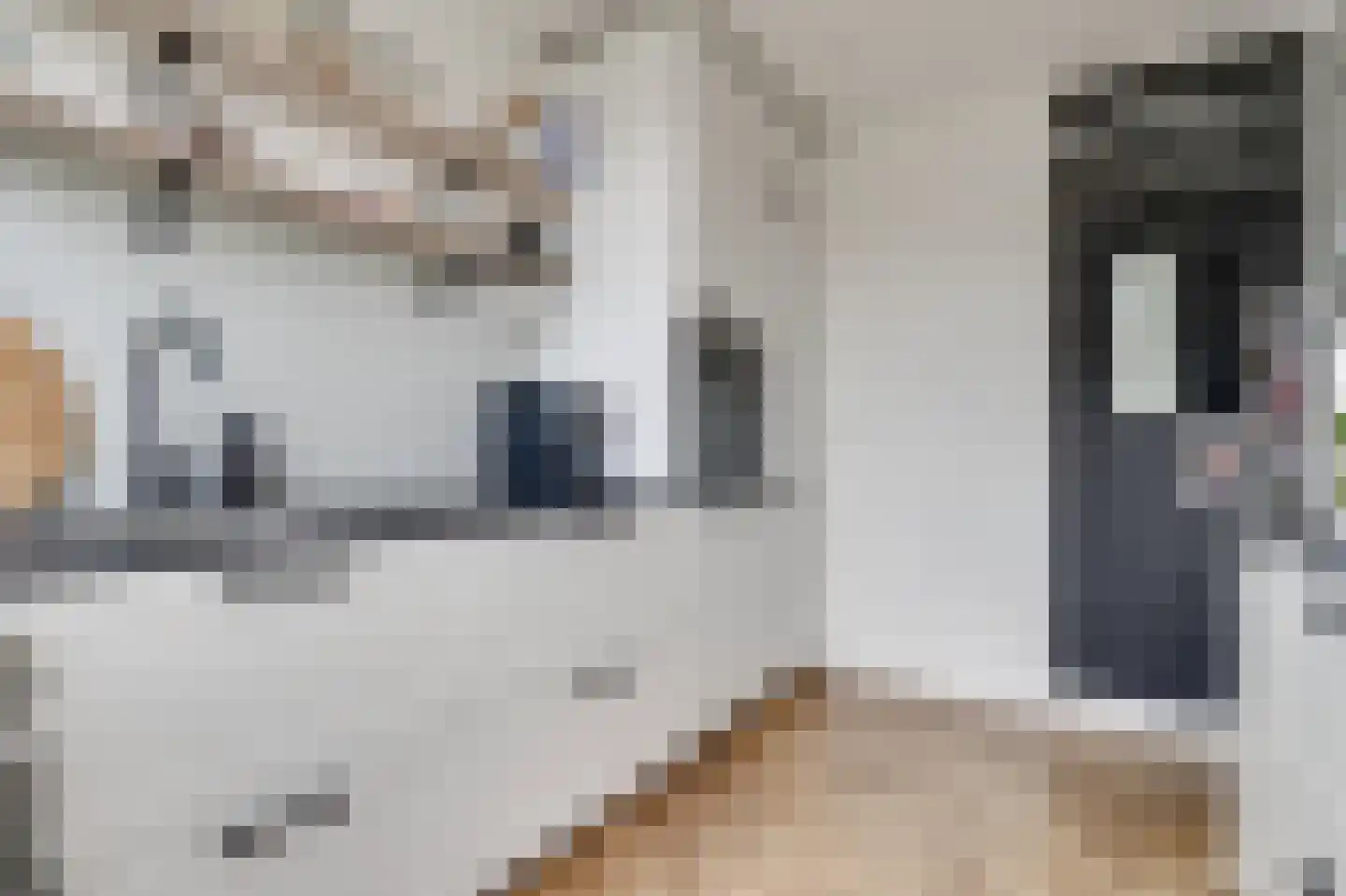 Kastanjelaan 56 Zuid-Scharwoude thumbnail 6