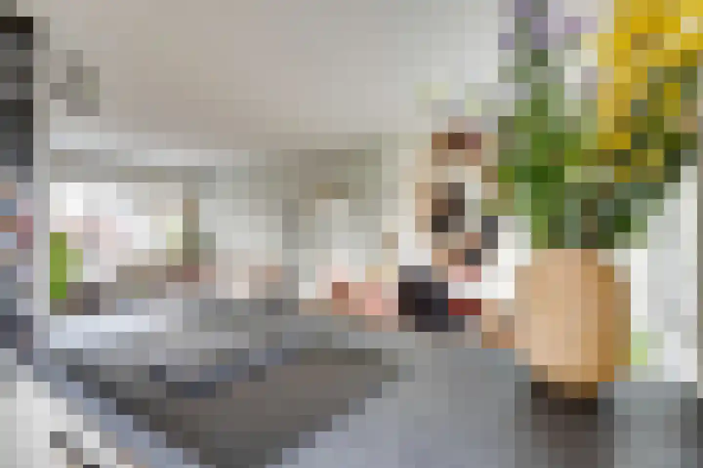 Kastanjelaan 56 Zuid-Scharwoude thumbnail 7