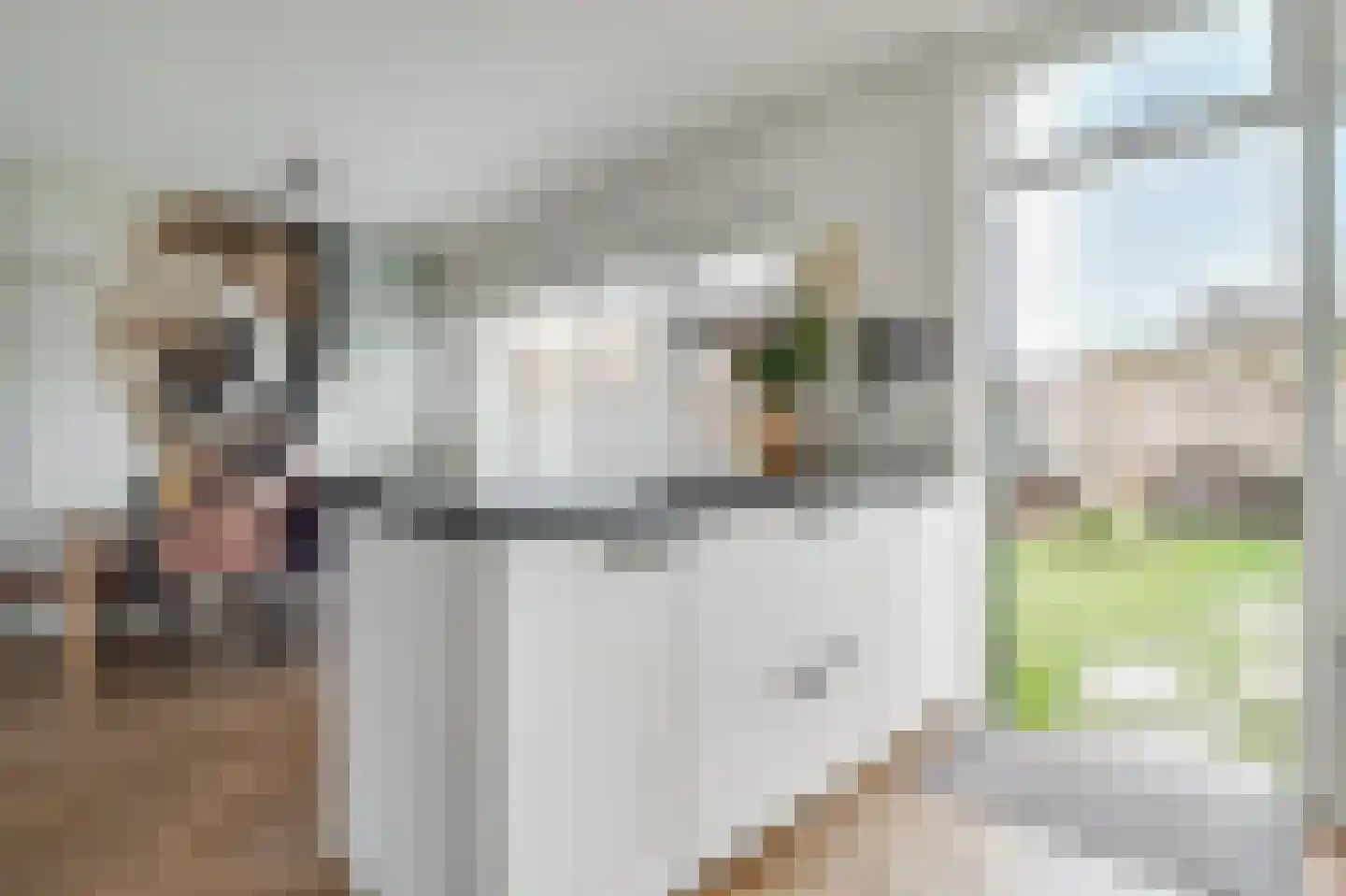Kastanjelaan 56 Zuid-Scharwoude thumbnail 8