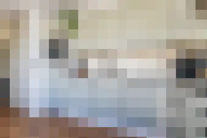 Kastanjelaan 57 Drunen thumbnail 12