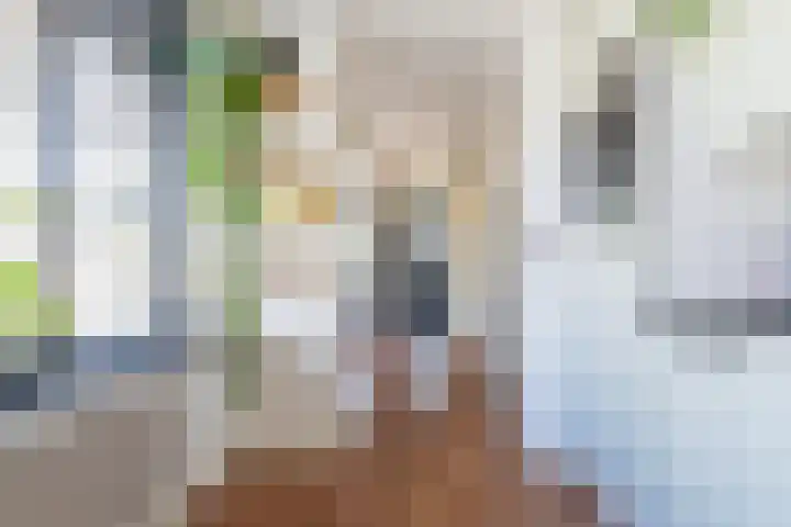 Kastanjelaan 57 Drunen thumbnail 13