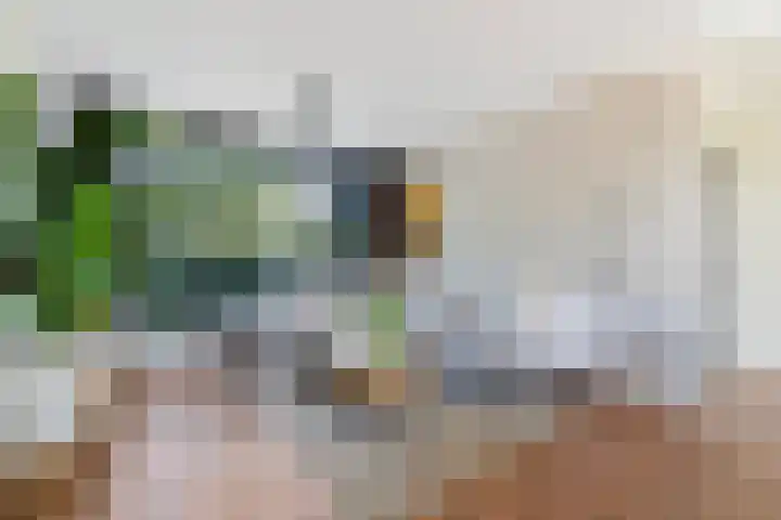 Kastanjelaan 57 Drunen foto 2