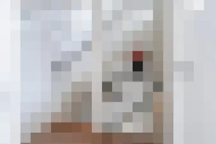 Kastanjelaan 57 Drunen thumbnail 27