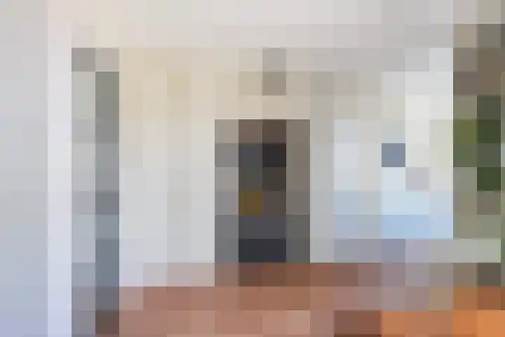 Kastanjelaan 57 Drunen foto 3