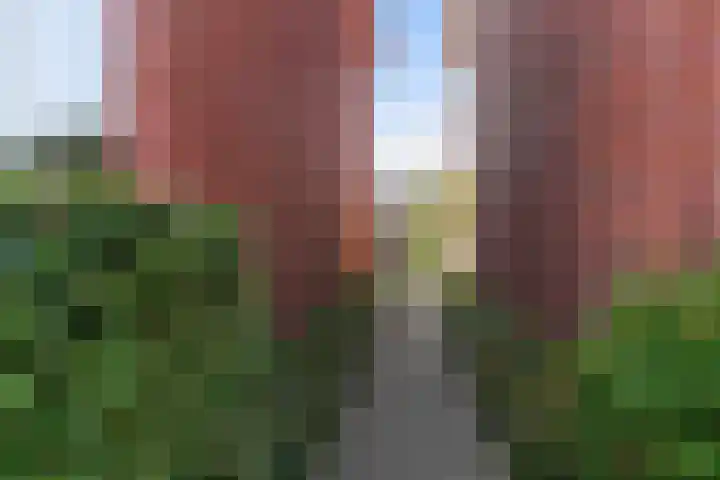 Kastanjelaan 57 Drunen thumbnail 39