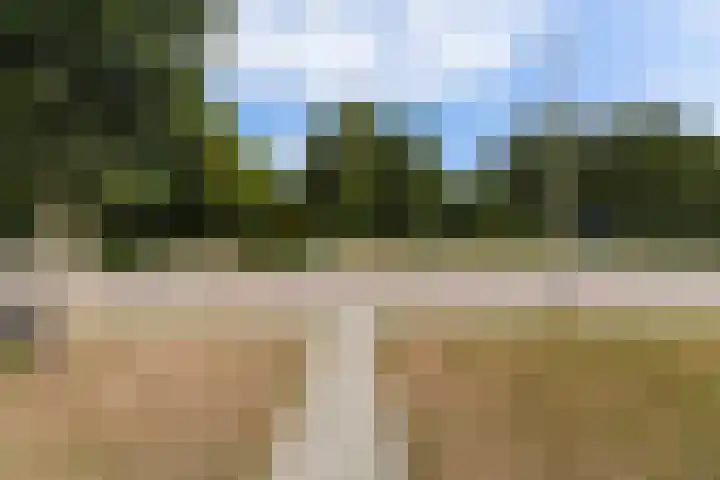Kastanjelaan 57 Drunen thumbnail 41