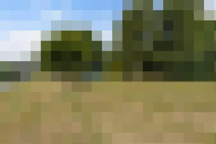 Kastanjelaan 57 Drunen thumbnail 42