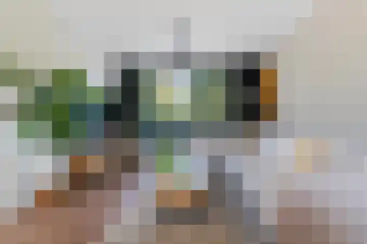 Kastanjelaan 57 Drunen thumbnail 8
