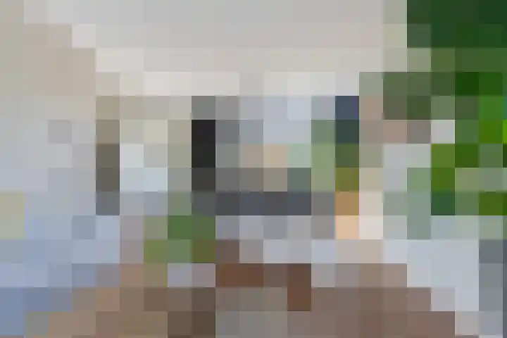 Kastanjelaan 57 Drunen thumbnail 9